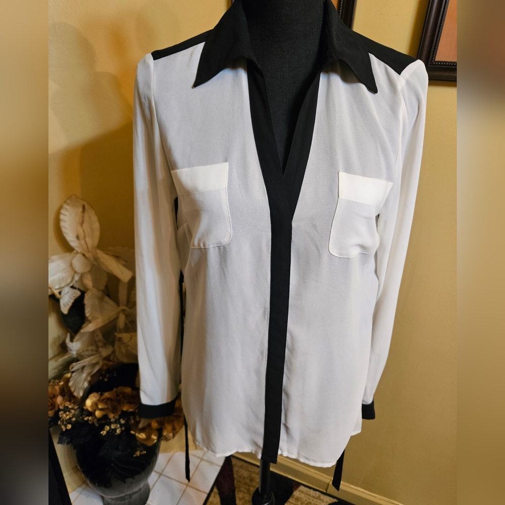 Cache Pleated Back Blouse